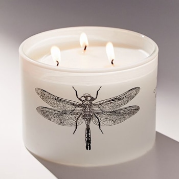 E-comm: Everything you need to turn your outdoor space into a relaxing beach oasis